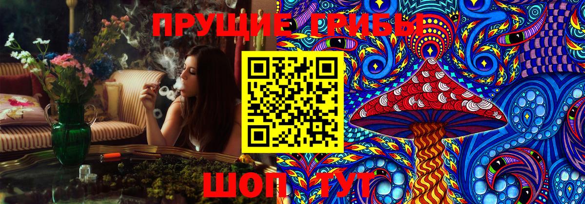 Галлюциногенные грибы Psilocybine cubensis Узловая